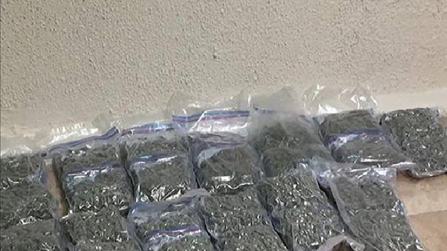 Incautan 52 paquetes de marihuana en aeropuerto de Punta Cana