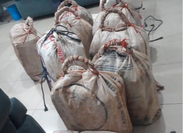 Investigan decomiso de 346 kilos de cocaína en San Cristóbal