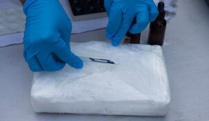 Paquetes de droga con la imagen de un le&oacute;n aparecen en las costas del sur de Florida