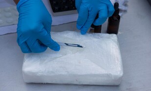 Paquetes de droga con la imagen de un le&oacute;n aparecen en las costas del sur de Florida