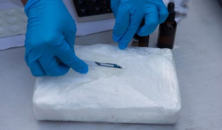 Paquetes de droga con la imagen de un le&oacute;n aparecen en las costas del sur de Florida