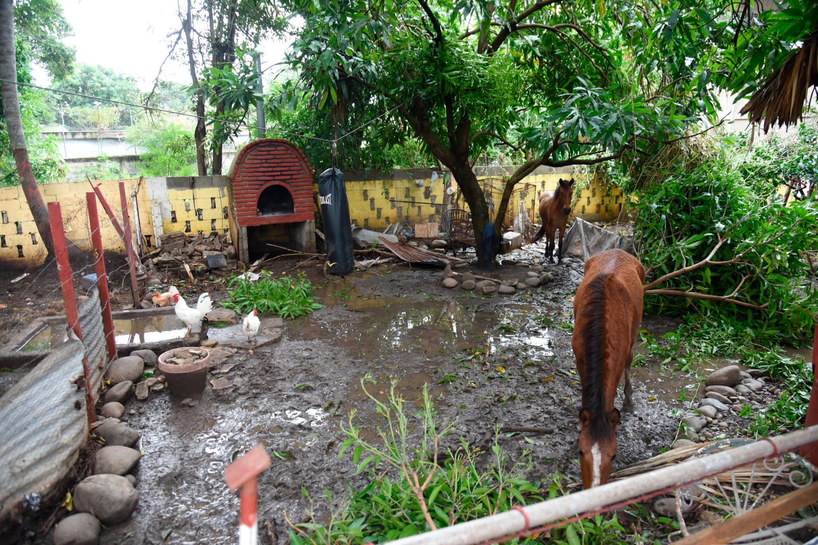 Condición en la que se encuentra el patio de una de las vivienda afectadas. 