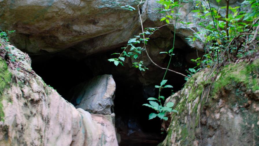 Cuarenta días para perder la noción del tiempo dentro de una gruta francesa