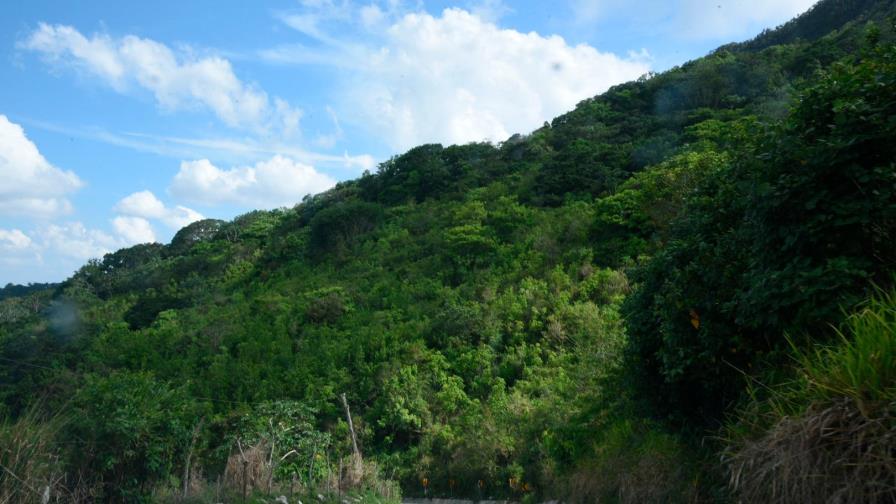 Medio Ambiente investiga denuncia sobre intentos de privatizar Pico Diego de Ocampo en Santiago