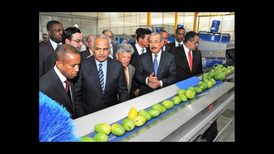 Nueva planta para procesar mangos recibe certificación de exportación a EEUU Nueva planta para procesar mangos recibe certificación de exportación a EEUU
