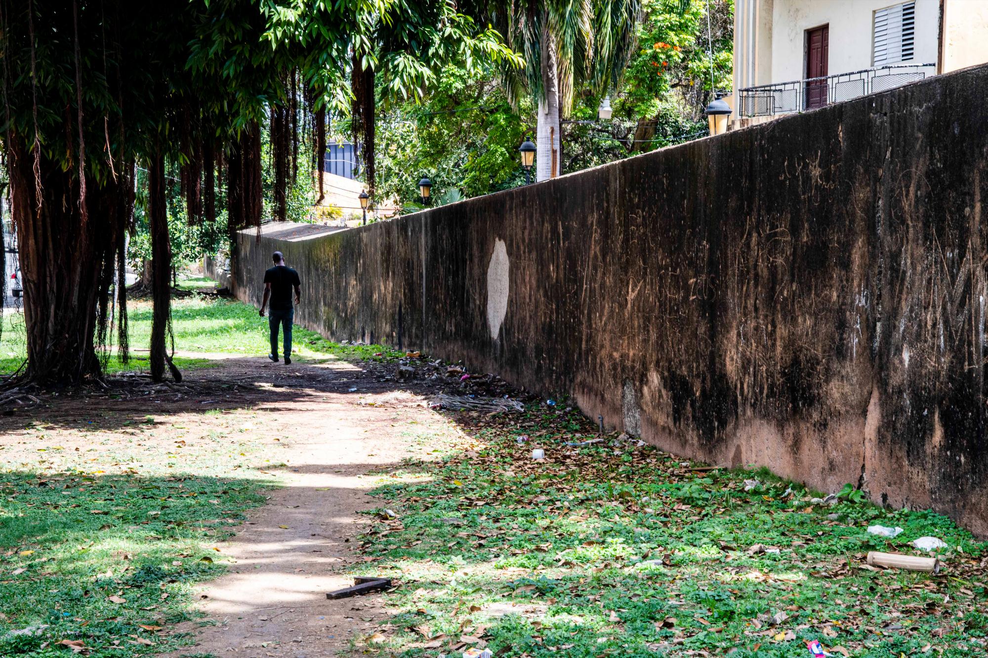 Muro que bordea por la calle Juan Isidro Pérez y la Mella.