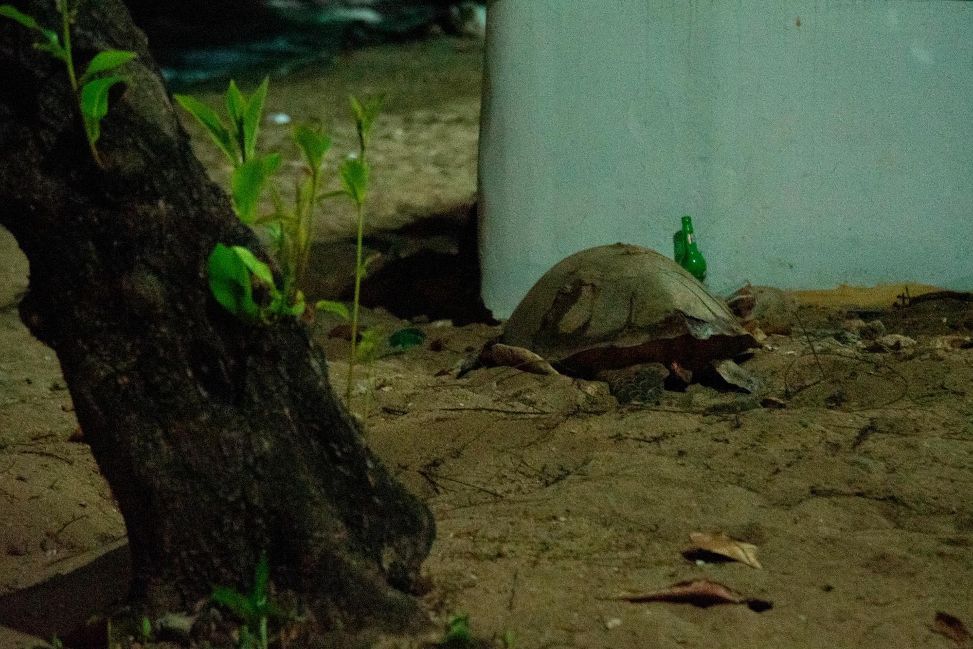 En su intento se topo con escombros, paredes y botellas de vidrio.