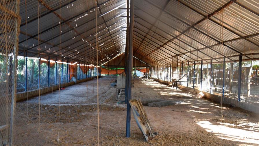 Ministro de Agricultura reitera Gobierno apoyará a productores avícolas afectados por Newcastle