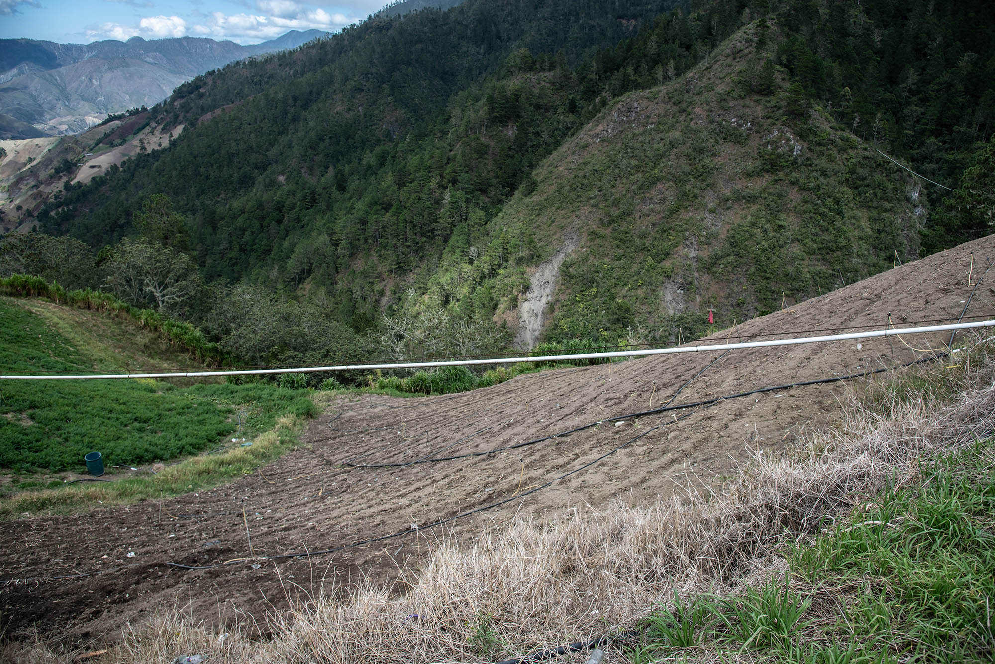 Los tubos siguen succionando el agua a las entrañas de la tierra en Las Espinas, Valle Nuevo. 