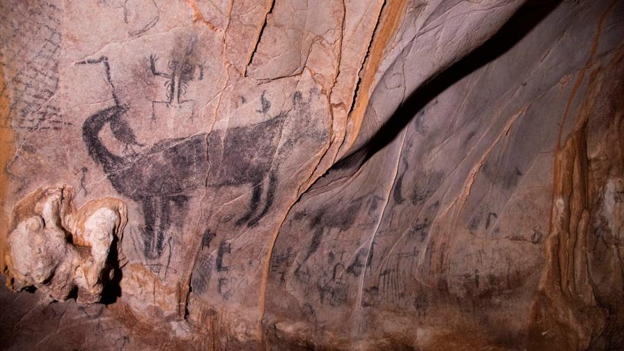 Peligran muchos tesoros rupestres en el Parque Nacional Aniana Vargas 