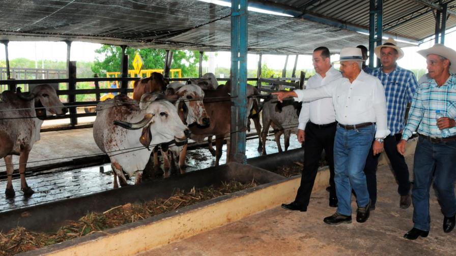 El CEA y Agricultura firman acuerdo para expandir producción bovina en el país