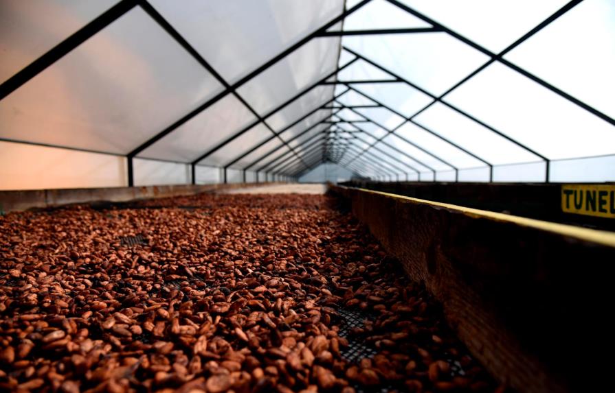 Inauguran en Bonao fábrica de chocolate elaborado por mujeres 