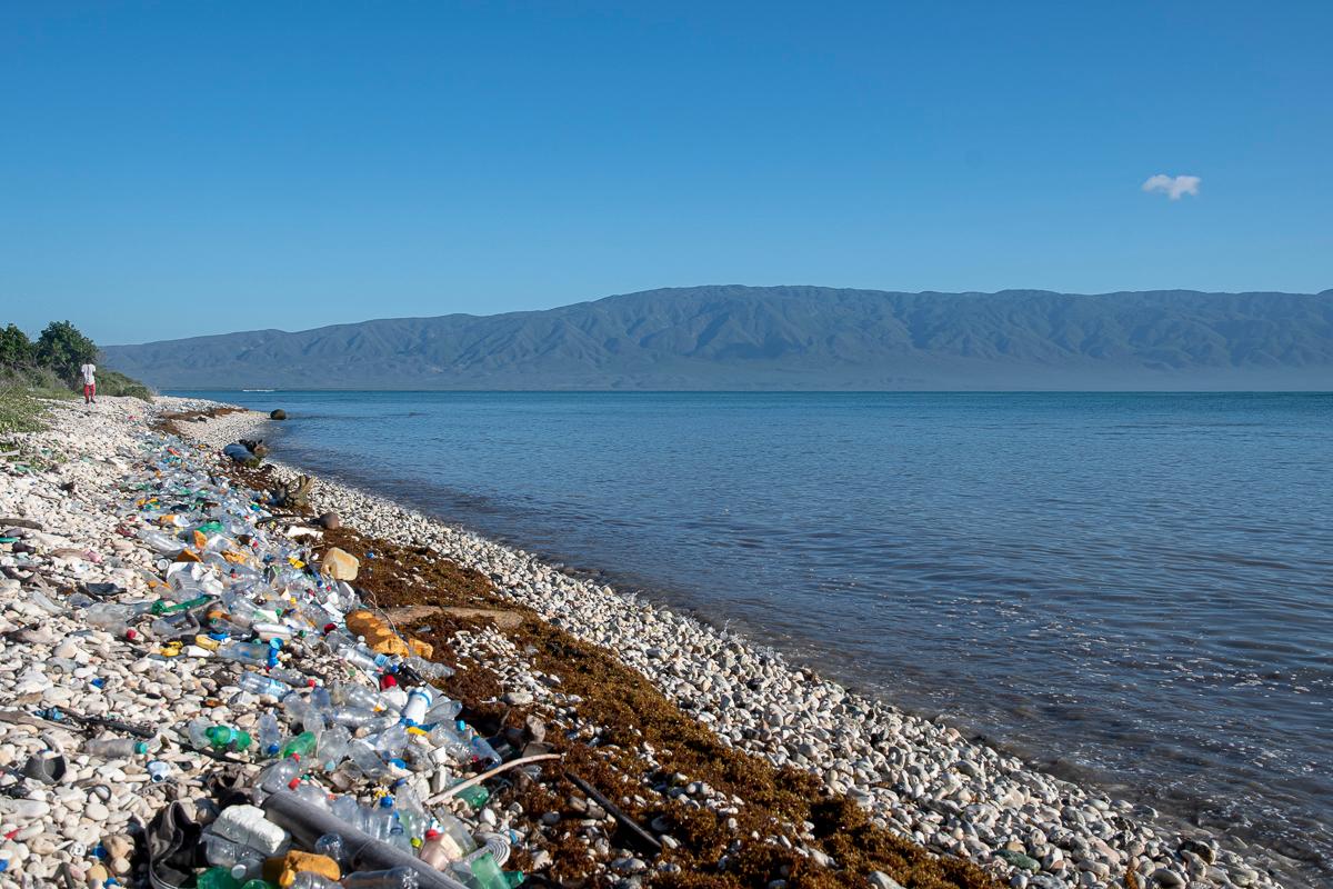 Esta es la ribera de la bahía, a menos de 10 metros del basurero.