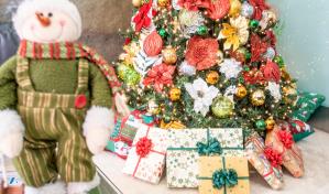 El mejor regalo de Navidad para toda la República Dominicana 