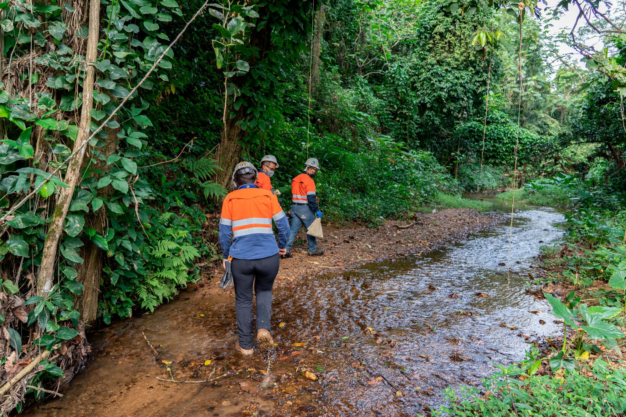 Isabel García-Cuenca acompaña a trabajadores que llevan sacos con ranas endémicas para su reubicación.