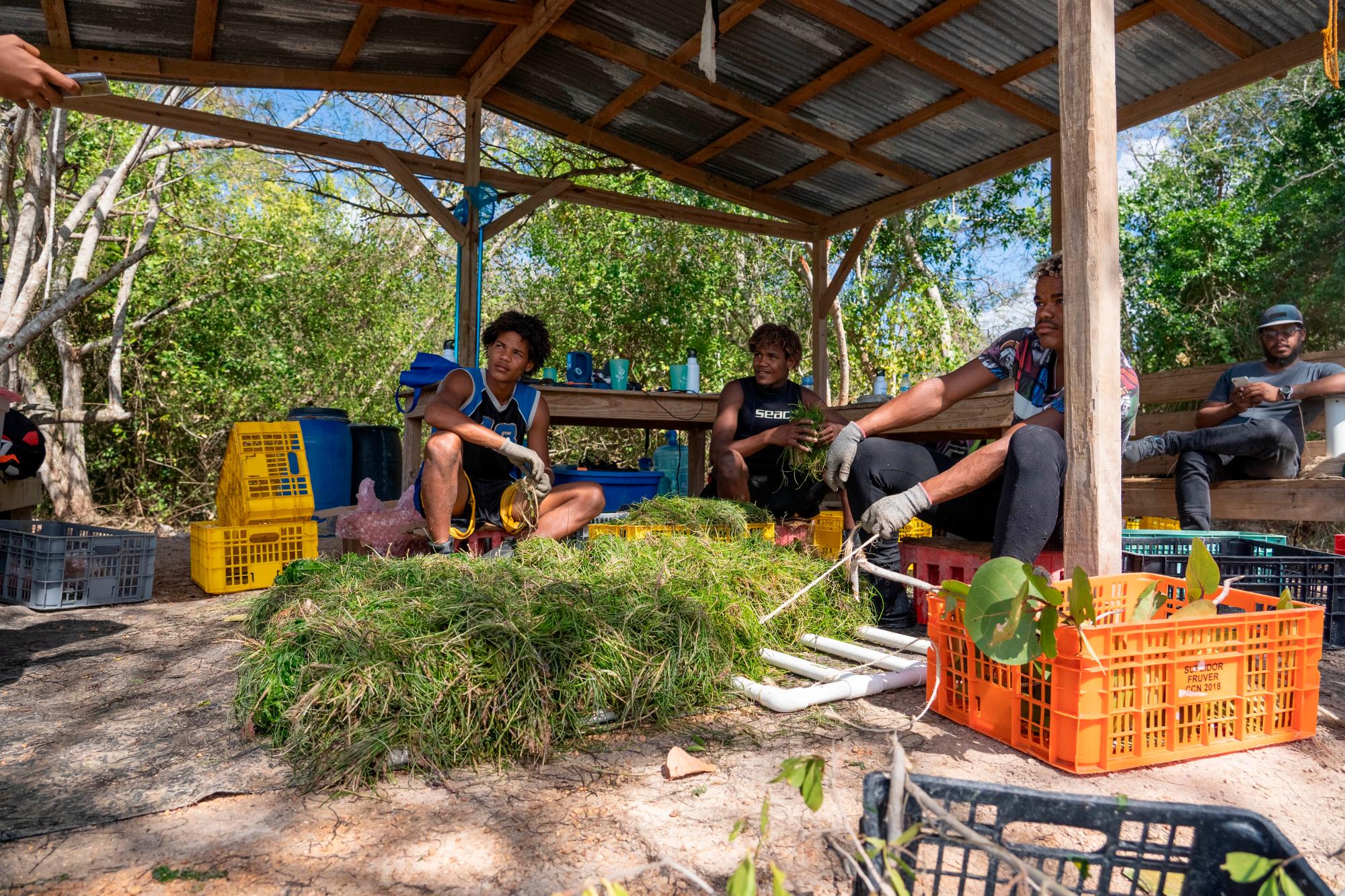 Los animales comen alimento 100% marino.