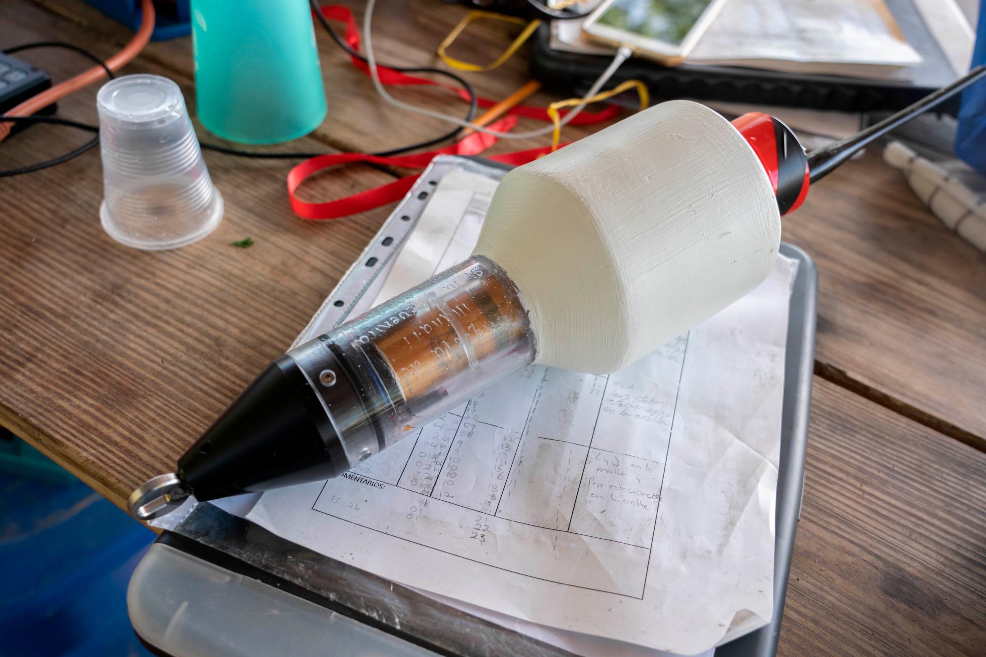 El dispositivo se activa automáticamente cuando el manatí sale a respirar