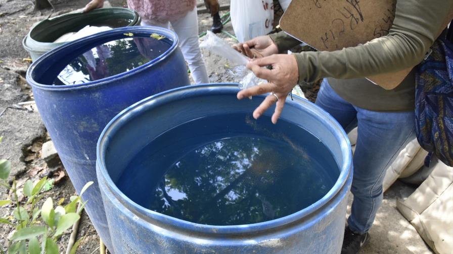 Salud Pública exhorta a no descuidar medidas para prevenir el dengue Salud Pública exhorta a no descuidar medidas para prevenir el dengue