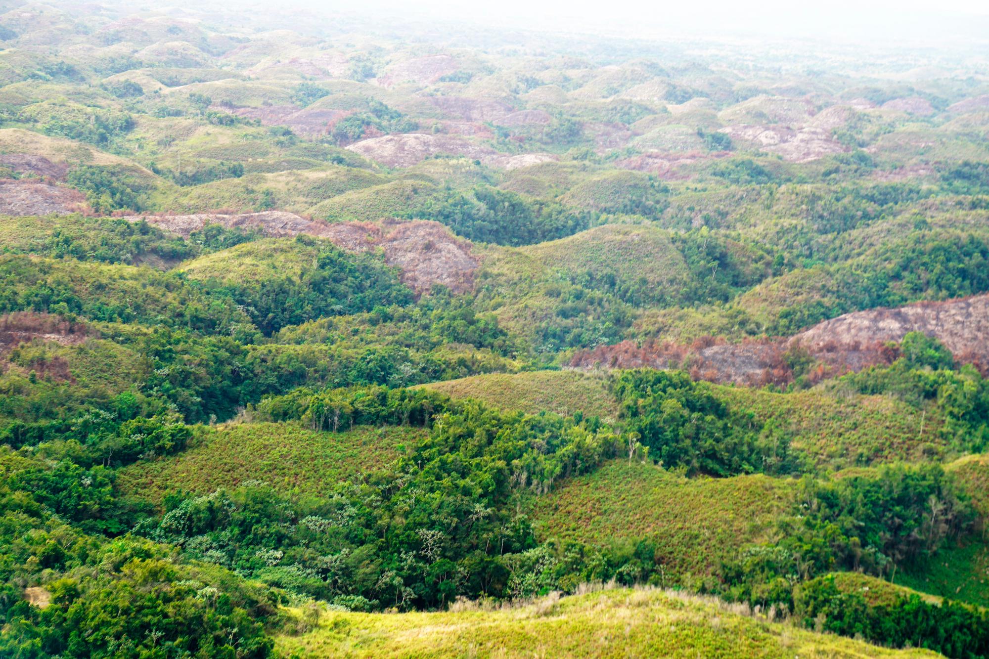En este imagen se puede ver la extensión de los daños al parque.