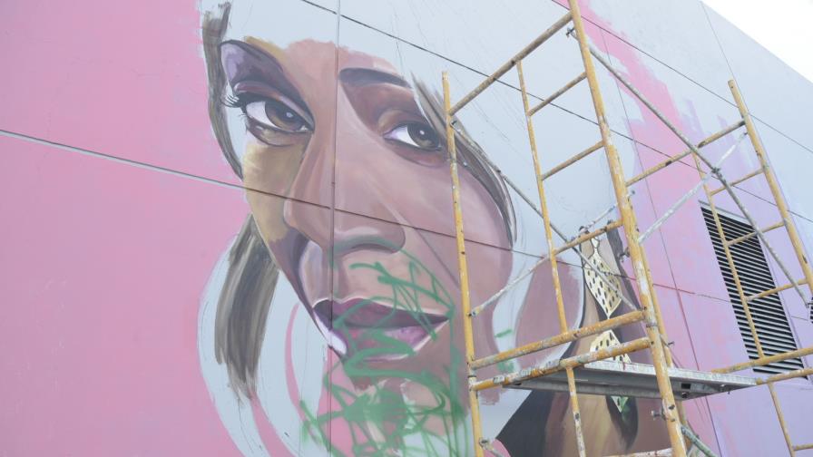 Vandalizan murales de la calle Juan Goico Alix de Santiago