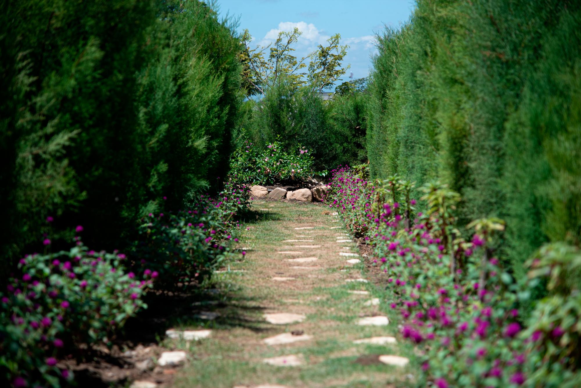Vista interior del laberinto.