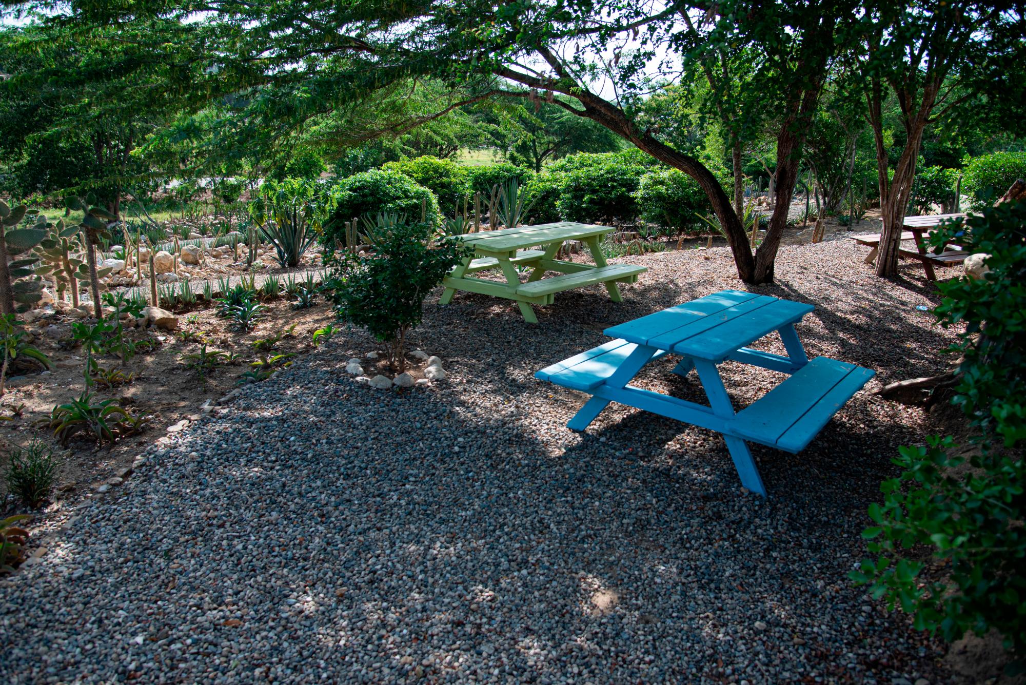 Un área de picnic.