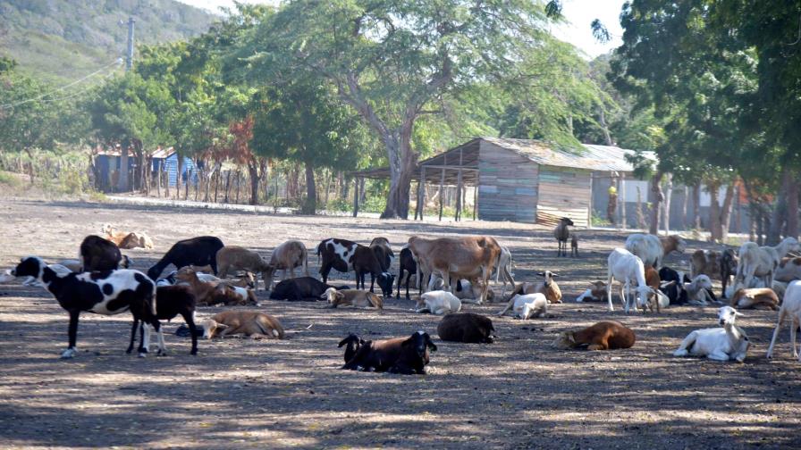 Indrhi: sequía extrema supone “crisis profunda” Indrhi: sequía extrema supone “crisis profunda”