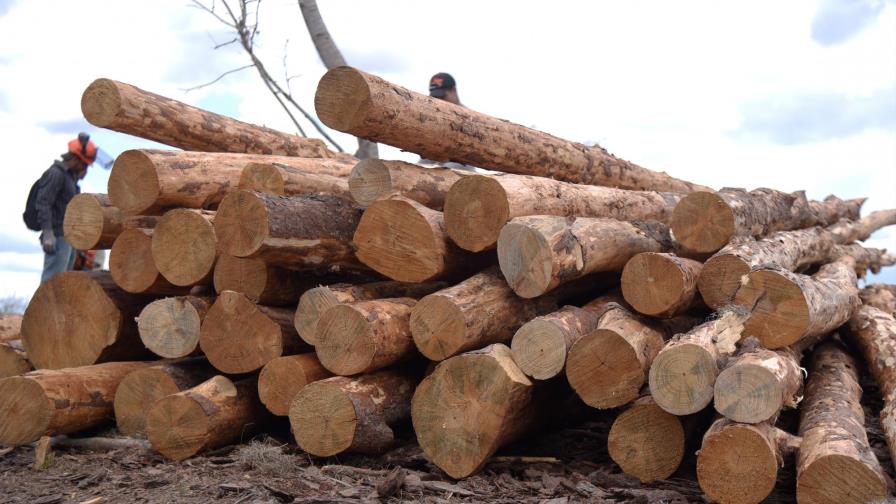 Piden declarar en estado de emergencia ambiental localidades de Sajoma 