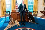 Biden manda sus perros a Delaware tras el ataque a un miembro de su seguridad
