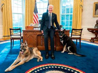Biden manda sus perros a Delaware tras el ataque a un miembro de su seguridad