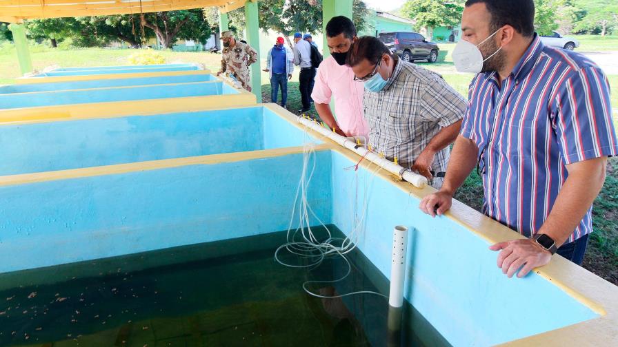 Codopesca remozará instalaciones de la Estación Modelo de Producción Acuícola 