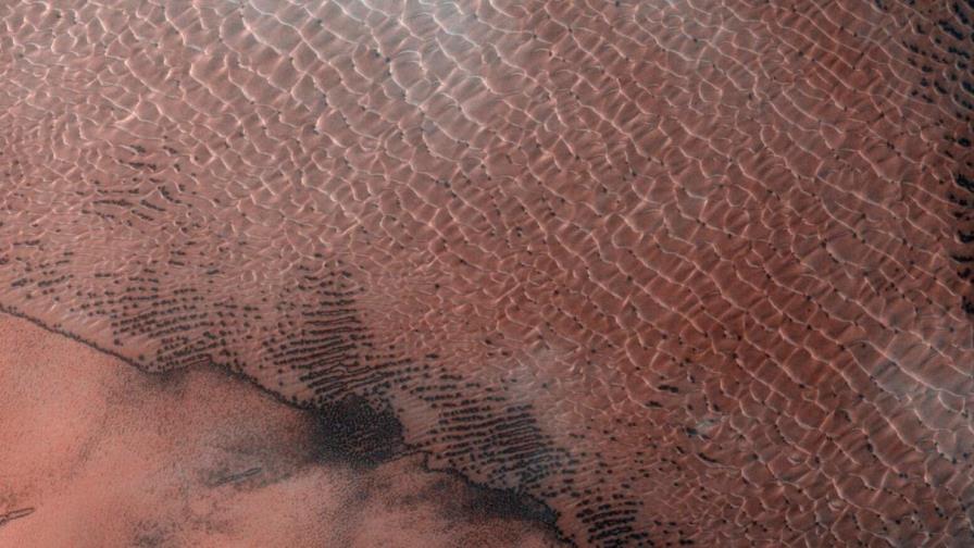 Agencia Espacial Europea publica imagen de campo de dunas en Marte