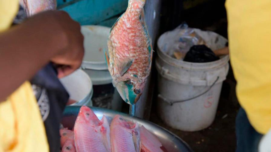 Mercado de Andrés en Boca Chica con gran afluencia de personas este Viernes Santo