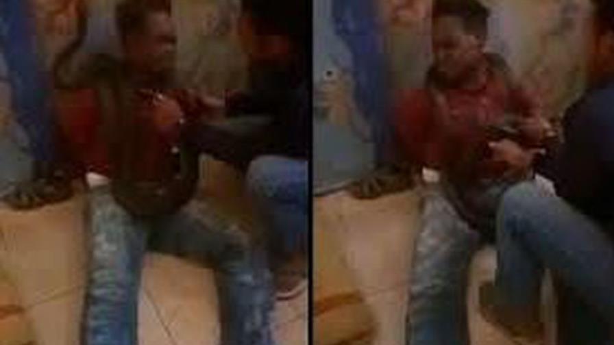 VIDEO: Policía indonesia usa una serpiente para interrogar a un sospechoso VIDEO: Policía indonesia usa una serpiente para interrogar a un sospechoso