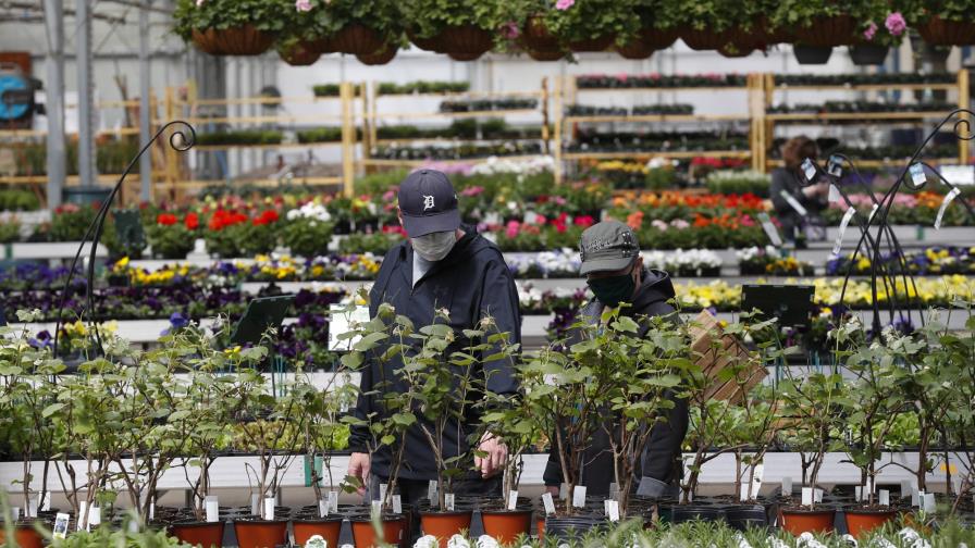 EEUU: Empresas piden limitar su responsabilidad por virus EEUU: Empresas piden limitar su responsabilidad por virus