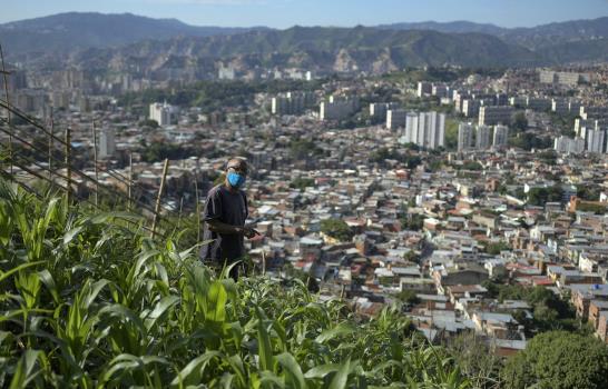 Crecen cultivos urbanos por crisis y pandemia en Venezuela