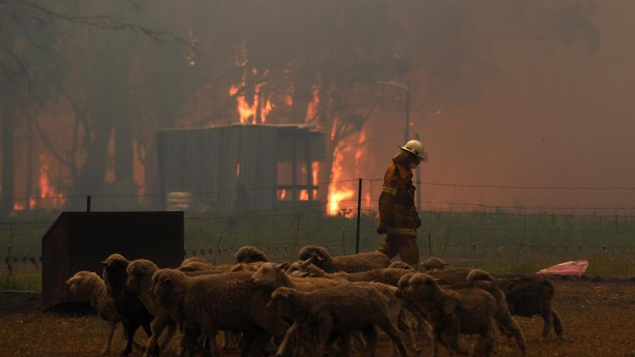 Estado más poblado de Australia en emergencia por incendios Estado más poblado de Australia en emergencia por incendios