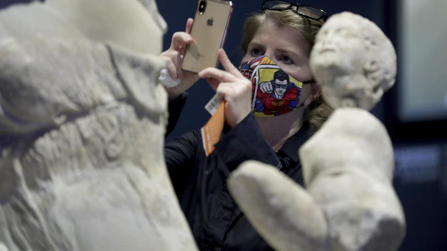 Alemania: casos de coronavirus en mascotas deben reportarse