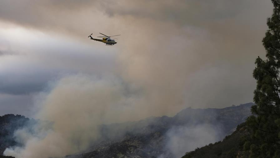 Detienen a dos personas por incendio forestal en LA Detienen a dos personas por incendio forestal en LA