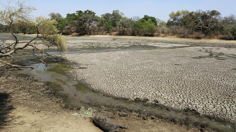 Grave sequía mata a elefantes y otras especies en Zimbabue Grave sequía mata a elefantes y otras especies en Zimbabue