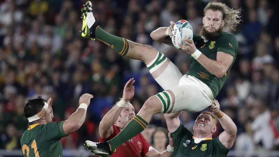 Sudáfrica vence a Gales, a final del mundial de rugby