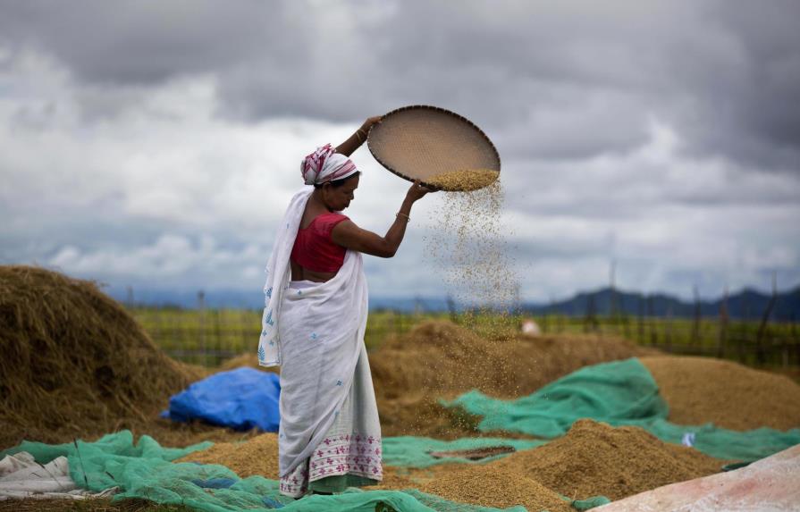 India: Legisladores aprueban polémico plan agrícola