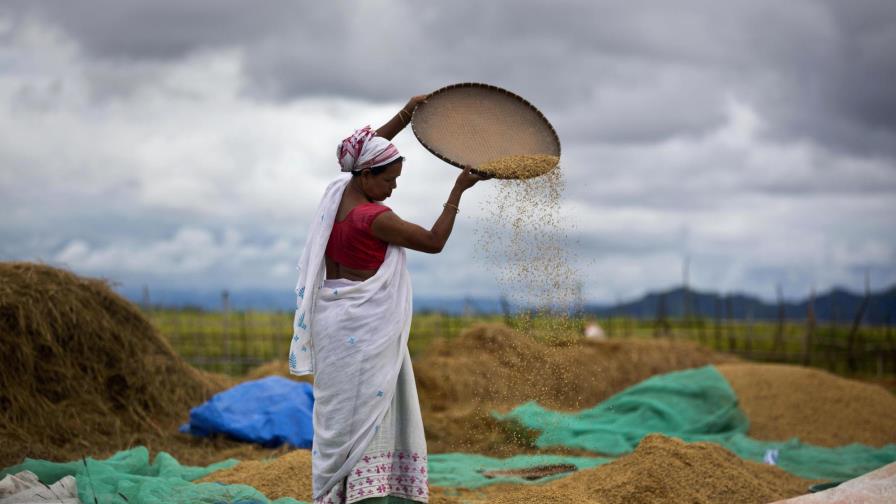 India: Legisladores aprueban polémico plan agrícola