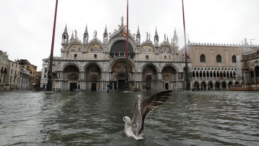 Turistas y locales chapotean en las aceras de Venecia