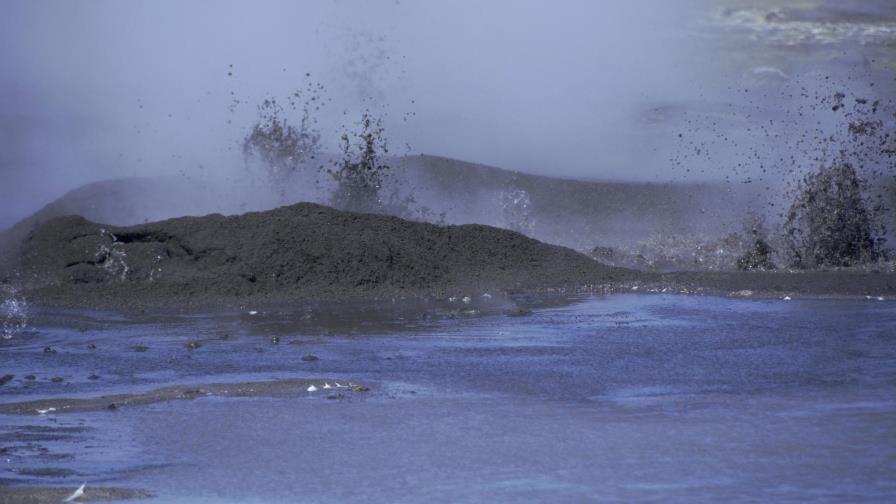 El oso marino ártico de Alaska encuentra cobijo en un volcán