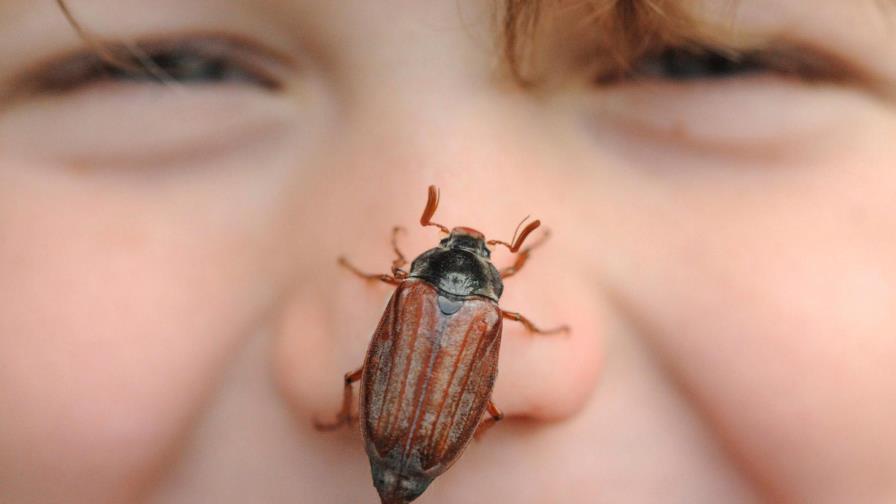 Alemania registra un 5 % más de decesos y 0.6 % menos de nacimientos en 2020