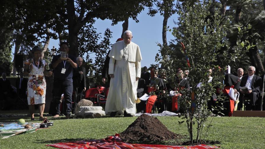 El papa abre un sínodo sobre la Amazonia
