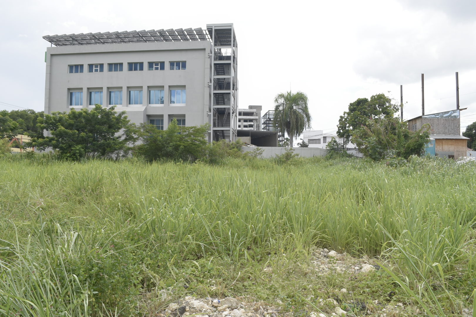 Terrenos urbanos baldíos. 