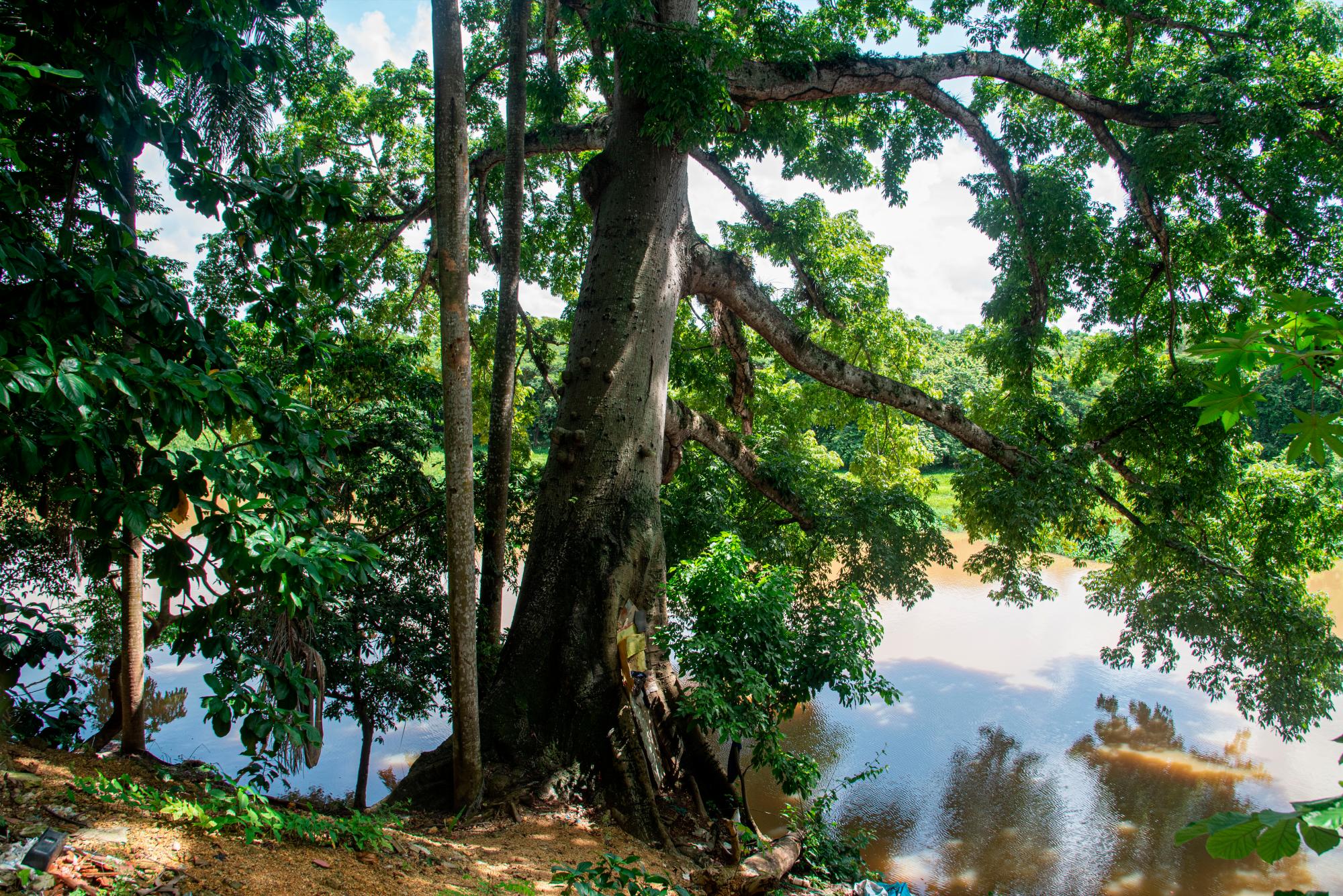 Este es el río Ozama, la basura ya llega hasta sus orilla.