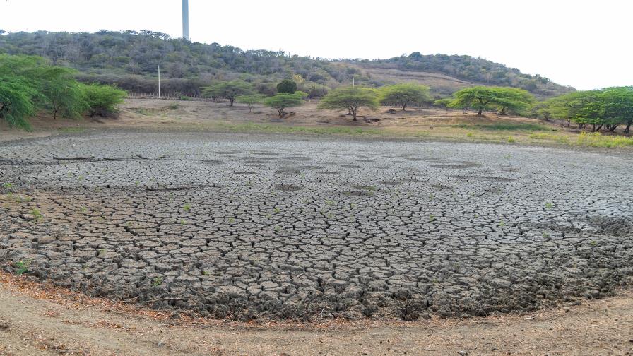 Negligencia y sequía